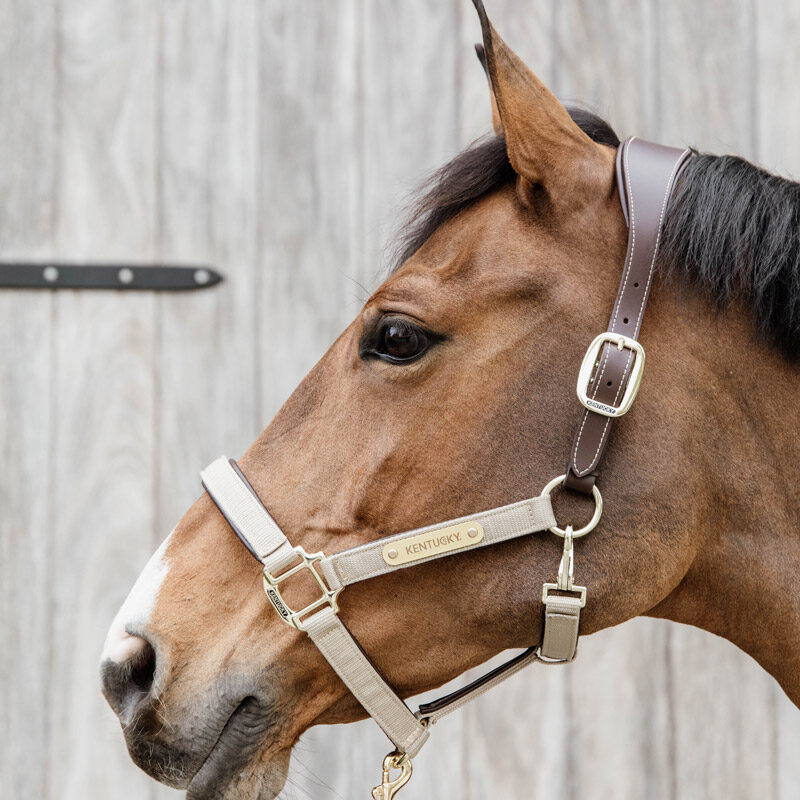 Kentucky Horsewear Anatomic Nylon Head Collar Beige 1 Kentucky Horsewear Anatomic Nylon Head Collar