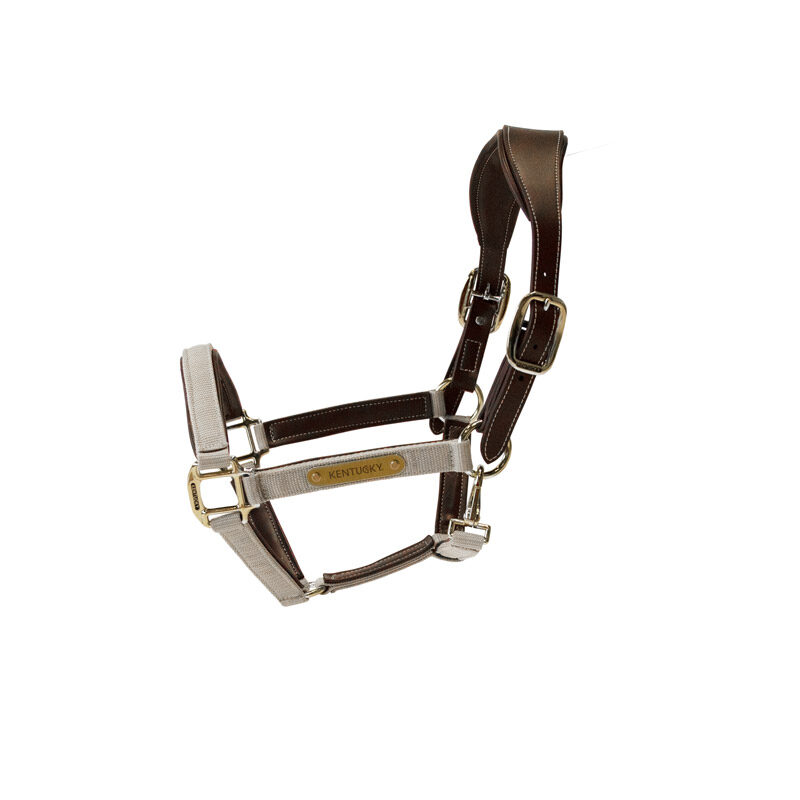 Kentucky Horsewear Anatomic Nylon Head Collar Beige Kentucky Horsewear Anatomic Nylon Head Collar