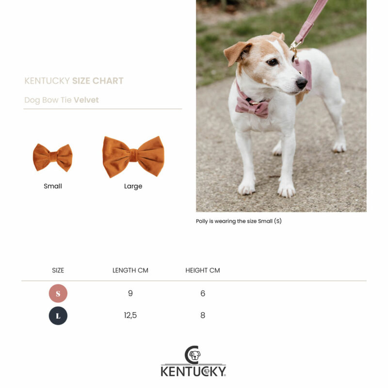 New Size Chart Dog Bow Tie Kentucky Dogwear Velvet Dog Bow Tie