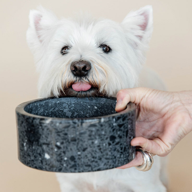 Kentucky Dogwear Stone Terrazzo Dog Bowl 1 Kentucky Dogwear Stone Terrazzo Dog Bowl Black - Small