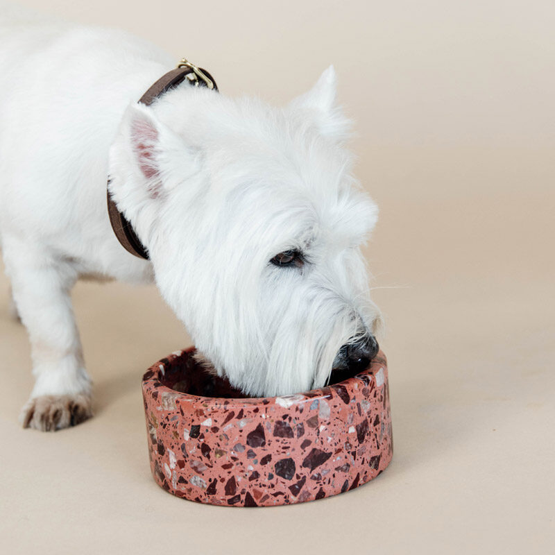 Kentucky Dogwear Stone Terrazzo Dog Bowl