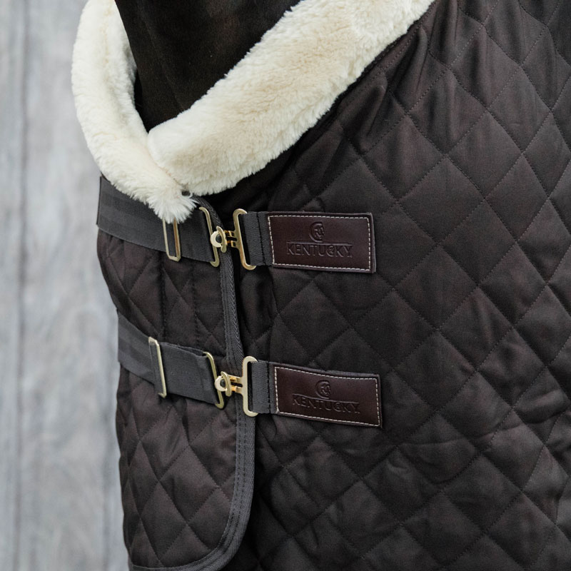 Kentucky Horsewear Show Rug - Discontinued - Brown 3 Kentucky Horsewear Show Rug - Discontinued - Brown - Image 3