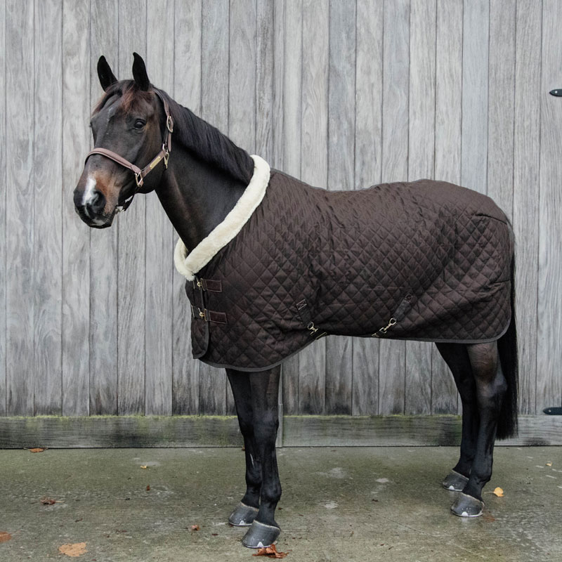 Kentucky Horsewear Show Rug Brown 12 Kentucky Horsewear Show Rug - Discontinued - Brown