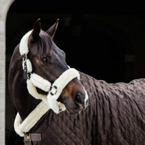 Kentucky Horsewear Show Rug Brown