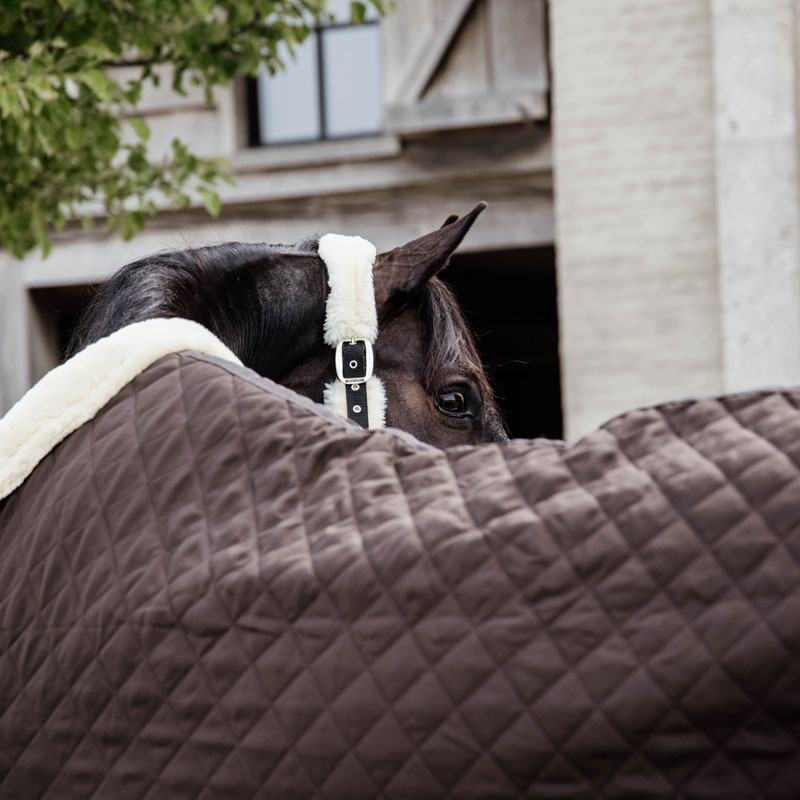 NEW Kentucky Horsewear Show Rug Brown UK Just Equine