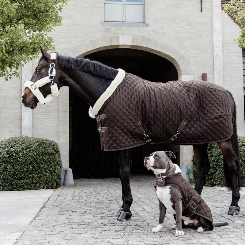 Kentucky Horsewear Show Rug Brown 6 Kentucky Horsewear Show Rug - Brown