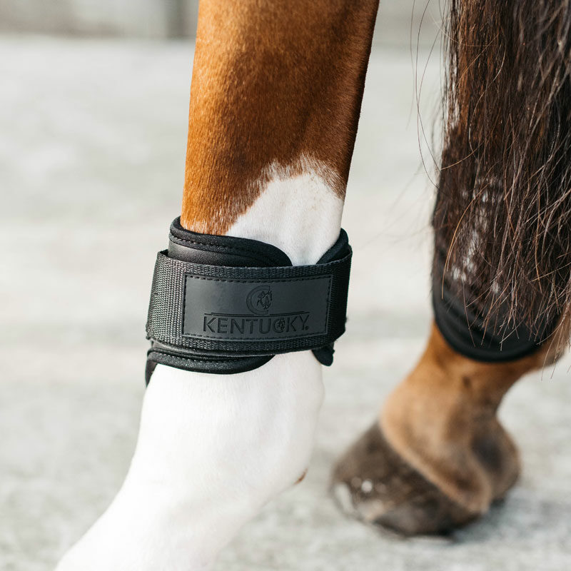 Kentucky Young Horse Fetlock Boots Air 1 Kentucky Young Horse Fetlock Boots Air