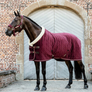 Kentucky Horsewear Velvet Show Rug Bordeaux