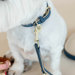 Kentucky Dogwear Soft Vegan Leather Dog Lead