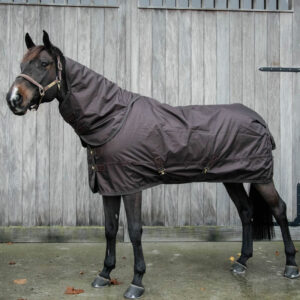 Turnout Rug All Weather Pro 160g -Brown