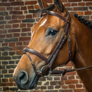 Dy'on Collection Flash Noseband Bridle
