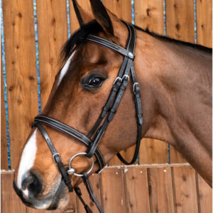 Dy’on Working Collection Classic Flash Noseband Bridle Brown