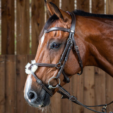 Dy'on Working Collection Grackle Noseband Bridle Brown 1