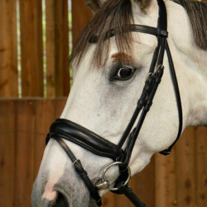 Dy’on Working Collection Matte Large Crank Noseband with Flash Black 2