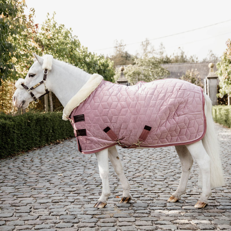 Velvet Pony Show Rug - Old Rose