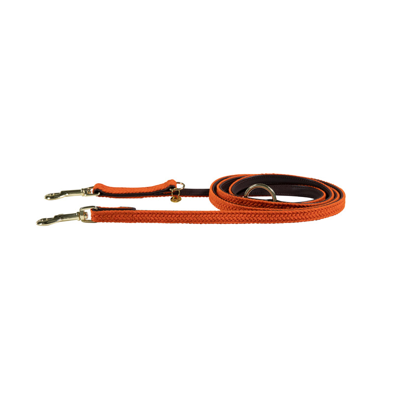 Plaited sales dog lead