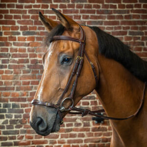 Dy'on-Adjustable-Drop-Bridle