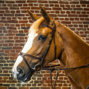 Dyon-Collection-X-Fit-Bridle