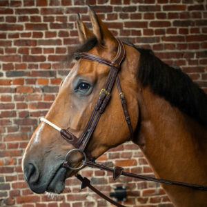 Dy'on-Rope-Bridle