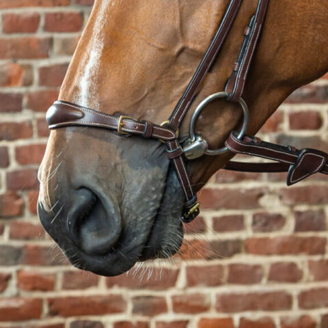 Dyon-Adjustable-Drop-Noseband-ONLY-Brown-1