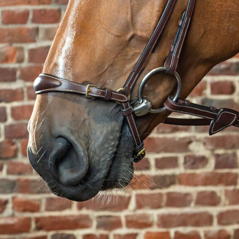 Dyon-Adjustable-Drop-Noseband-ONLY-Brown-1