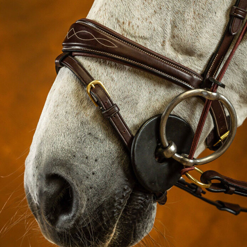 Accessorio Per Capezzina Flash Shires In Pelle Blenheim - Trasforma Rapidamente La Tua Capezzina In Modello Flash, Regolabile, Per Equitazione