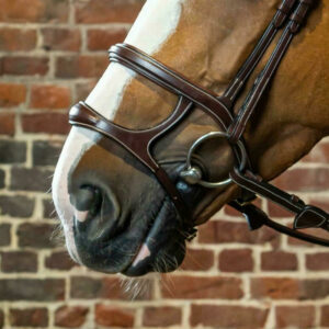 Dyon-Double-Noseband