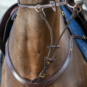 Dyon-Elastic-Martingale-Attachment-1