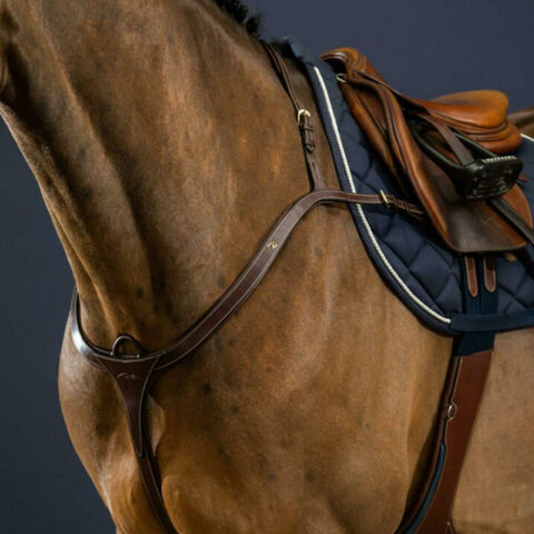 Dy’on Collection Long Bridge Breastplate