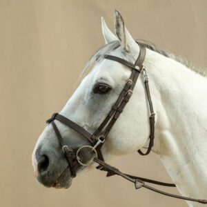 Flat-Leather-Bridle-With-Snap-Hooks-1