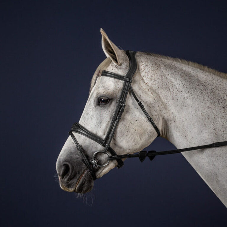 Anatomic-Bridle-Black-1