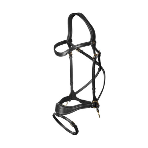 Dy'on D Motion Bridle Black