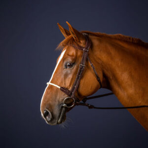 Rope-Noseband-Bridle-Brown-1