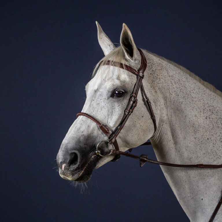 Dy'on New English Collection Leather Covered Rope Noseband Bridle
