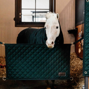 Kentucky Horsewear Stable Guard Dark Green