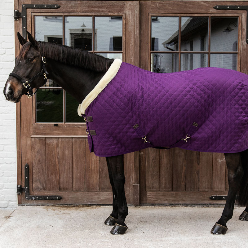 Kentucky Horsewear Show Rug Royal Purple 1 Kentucky Horsewear Show Rug - Discontinued - Purple