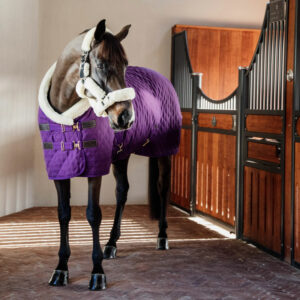 Kentucky Horsewear Show Rug Royal Purple