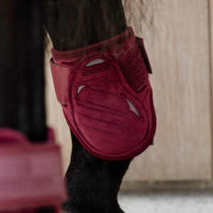 Young Horse Fetlock Boots Velvet Bordeaux 3