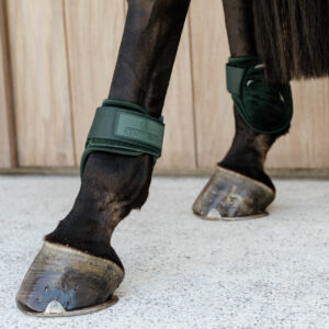 Young Horse Fetlock Boots Velvet Dark Green