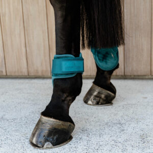 Young Horse Fetlock Boots Velvet Emerald