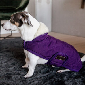 Kentucky Dogwear Dog Coat Purple