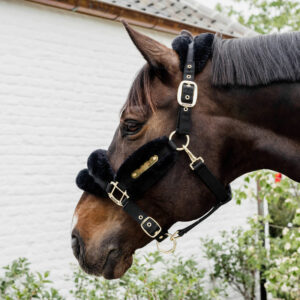 Kentucky Horsewear Nylon Sheepskin Halter Soft