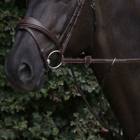 Dy'on US Collection 1/2 Inch Rubber Reins Attached