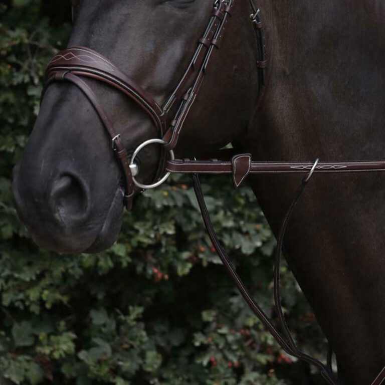 Dy'on US Collection 1/2 Inch Rubber Reins Attached