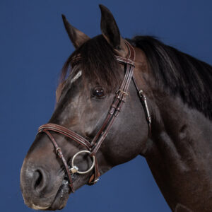 Dy'on US Collection Flash Noseband Bridle 1