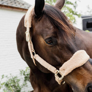 Kentucky Horsewear Teddy Fleece Head Collar Beige