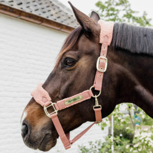 Kentucky Horsewear Teddy Fleece Head Collar Old Rose