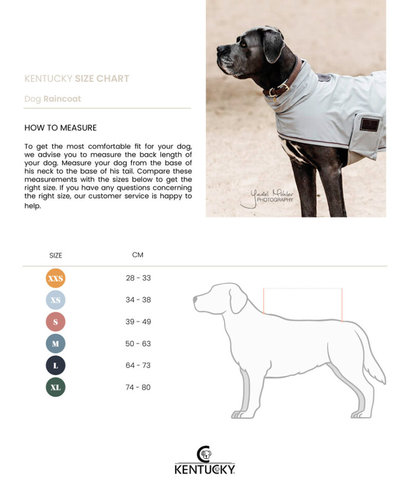 Dog Rain Coat Size Chart Kentucky Dogwear Dog Rain Coat