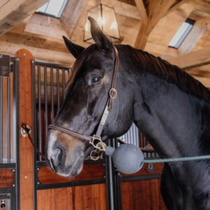 Kentucky Horsewear Rubber Ball Wall Protector Grey