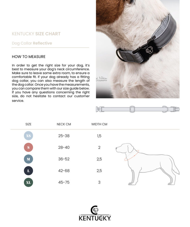 Kentucky Dogwear Reflective Dog Collar - Image 5